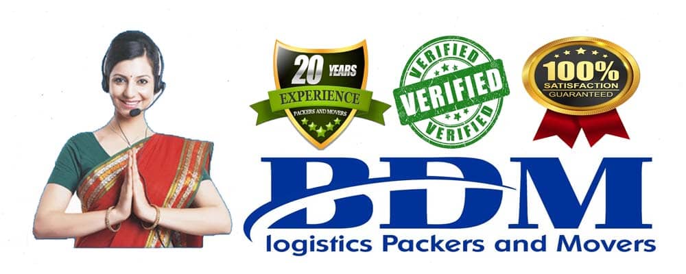 BDM Logistics Packers and Movers Delhi