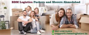 BDM LOGISTICS PACKERS AND MOVERS